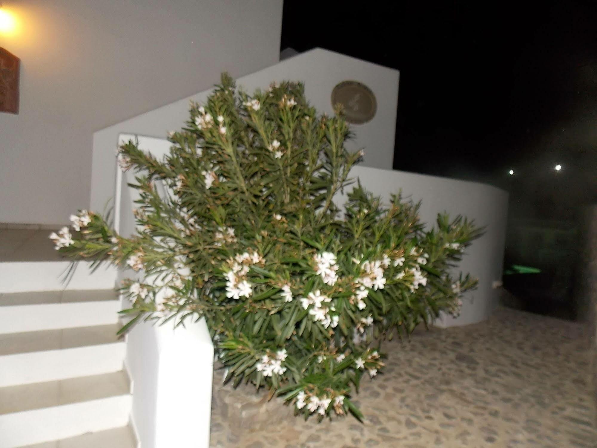 Lavarock Santorini Perissa  Bagian luar foto
